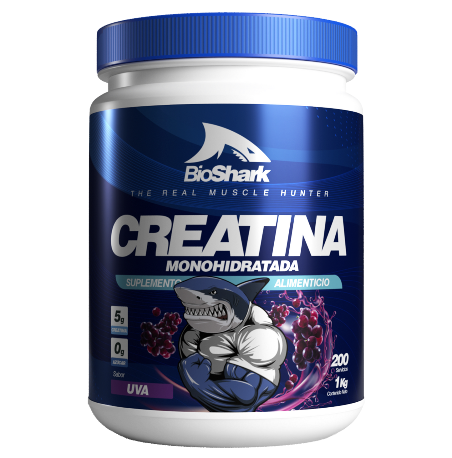 Creatina (1kg)