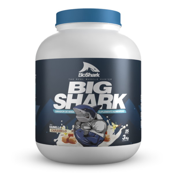 big shark (3kg)